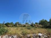Terreno edificabile - Buie (05738)