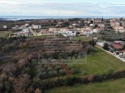 Terreno edificabile  - Cittanova (03893)