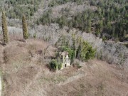 Casa istriana - Buie (05232)