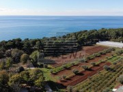 Terreno edificabile - Umago (03837)