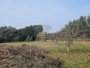 Terreno edificabile  - Umago (05485)