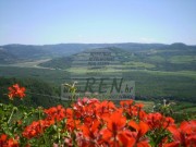 Casa istriana - Montona (00803)