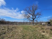 Casa istriana - Buie (05229)