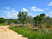 Terreno agricolo - Cittanova (04710)