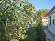 Casa - Cittanova (05760)