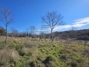 Terreno edificabile - Buie (05224)