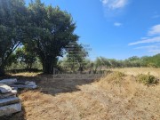 Casa istriana - Buie (05750)