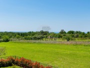 Villa - Verteneglio (05521)