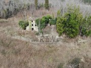 Casa istriana - Buie (05232)
