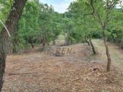 Terreno edificabile - Buie (04470)