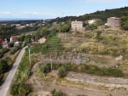 Terreno edificabile - Buie (05363)