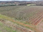 Terreno agricolo - Verteneglio (05682)