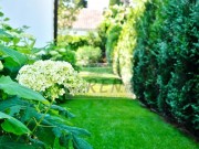 Casa - Cittanova (03688)