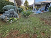Appartamento  - Cittanova (05071)