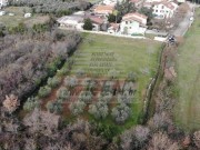Terreno edificabile - Cittanova (03893)