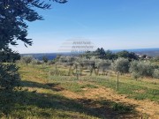Terreno edificabile - Buie (04638)