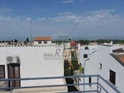 Appartamento - Cittanova (03260)