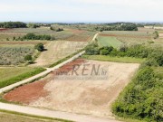 Terreno agricolo - Verteneglio (05690)