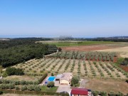 Casa  - Cittanova (04964)