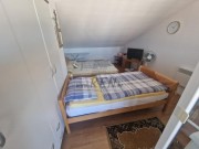 Appartamento - Cittanova (05538)