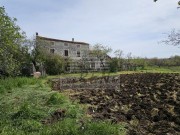 Casa istriana - Buie (05495)