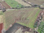 Terreno agricolo - Verteneglio (05681)