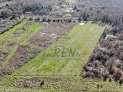 Terreno agricolo - Cittanova (05237)