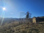 Casa istriana - Buie (05416)