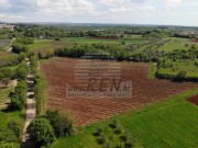Terreno agricolo - Verteneglio (05681)