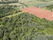 Terreno agricolo - Umago (05022)