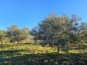 Terreno edificabile - Buie (05633)