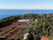 Terreno edificabile - Umago (03837)