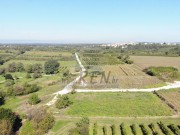 Terreno edificabile  - Verteneglio (05587)