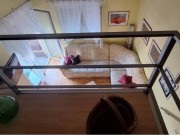 Appartamento - Medulin (05723)