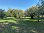 Casa istriana - Cittanova (05613)