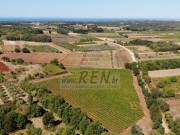 Terreno agricolo - Verteneglio (05681)