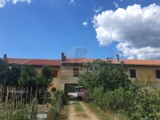 Appartamento  - Cittanova (04654)