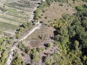 Casa istriana - Buie (05416)