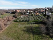 Terreno edificabile - Verteneglio (04789)