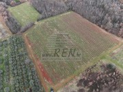 Terreno agricolo - Verteneglio (05682)