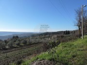 Casa istriana - Buie (03210)