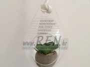 Appartamento - Cittanova (05491)