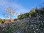 Casa istriana  - Buzet (05203)