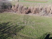 Terreno edificabile - Verteneglio (04789)
