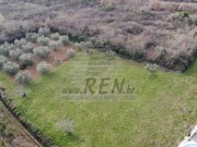 Terreno edificabile - Cittanova (03893)