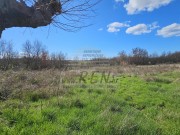 Terreno edificabile - Umago (05488)
