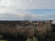 Terreno edificabile - Cittanova (03893)