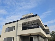 Appartamento - Cittanova (05617)