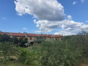 Appartamento - Cittanova (04654)