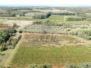 Terreno agricolo - Verteneglio (05682)